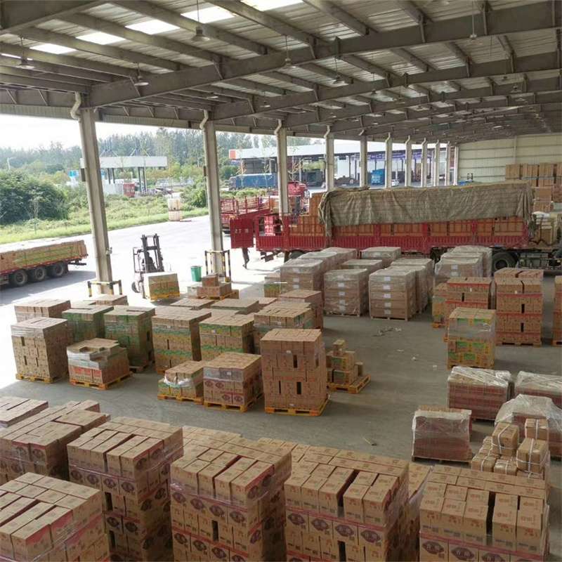 黄石港区大田镇物流：多样化运输服务与线路探秘