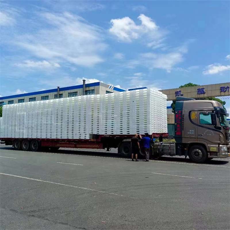 黄石港区中原镇物流：多元专线运输的探索与实践