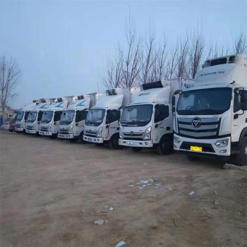 黄石港区福清市物流：多样运输服务与高效线路探秘