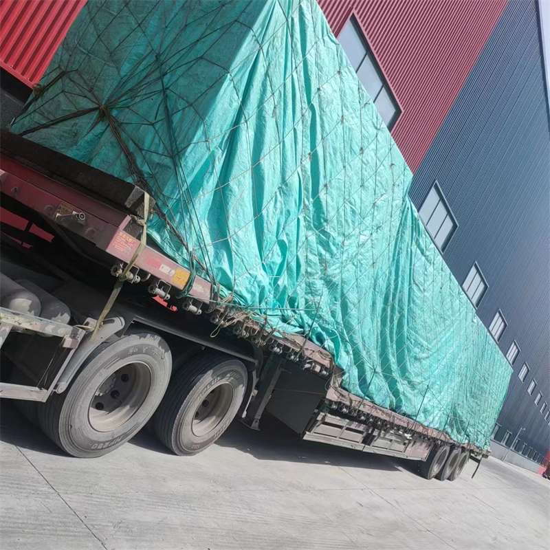 黄石港区肃南县：物流专线的高效货运之旅