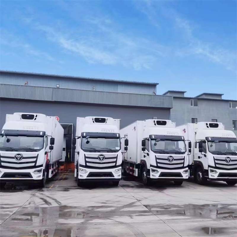 黄石港区新龙县进仓物流：多元专线直达运输探秘